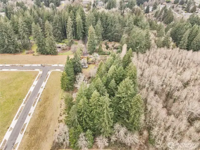 LOOKING WEST - New development off Yelm Hwy on left....