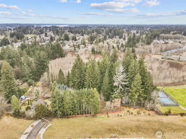 DISTANT VIEW - Looking north from Yelm Hwy. Briggs Village on right.