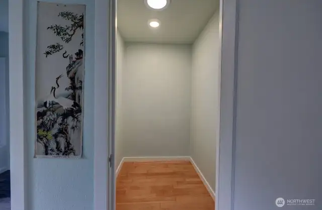 primary bedroom walk in closet