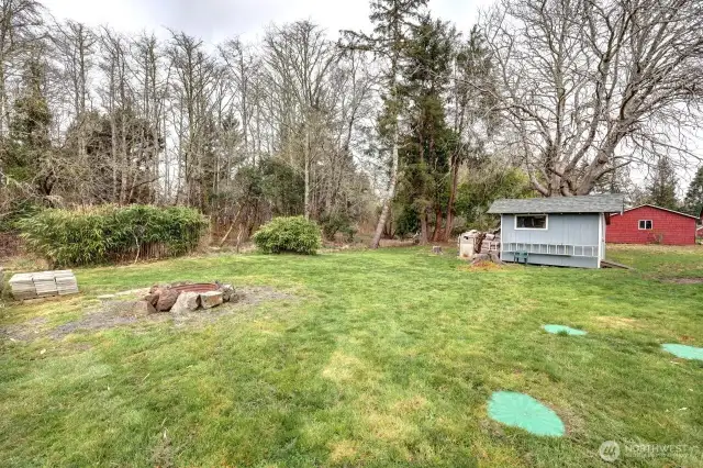 Backyard with shed