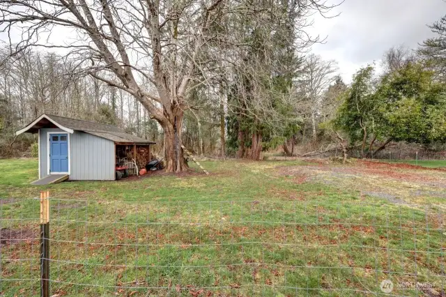 Shed with room for lawnmower and yard tools