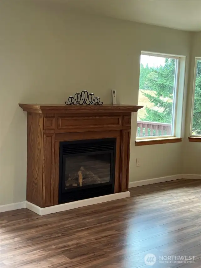 gas fireplace
