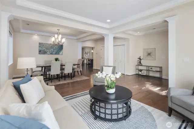 Open Grand Layout flooded with light!