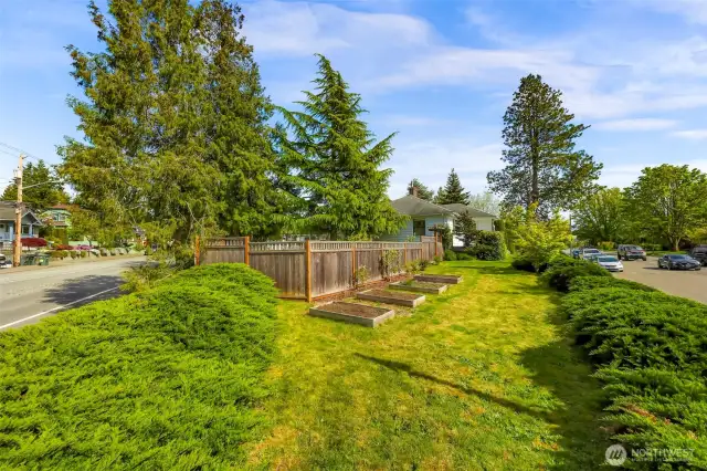 Raised beds in front yard waiting for your ideas!