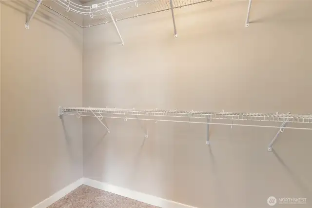 Primary closet with built ins