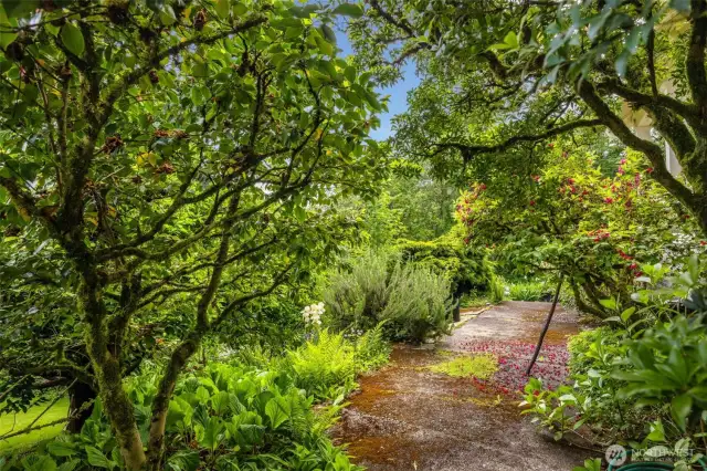 The garden is home to native shrubs, hearty perennials, delicate ground cover, and textural moss and lichen.