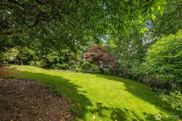 There are level lawn areas too. Picnic anyone?