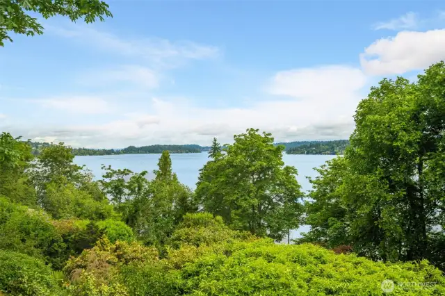 Over the tree tops appear Lake Washington and Seward Park.