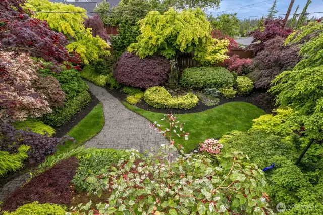 Looking down from deck at mature landscape.