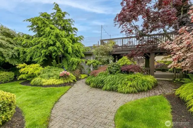 Gorgeous backyard.