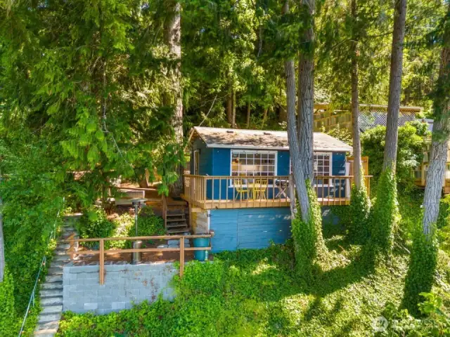 View of cabin from lake, surrounded by mature evergreens with dock and shoreline visible.