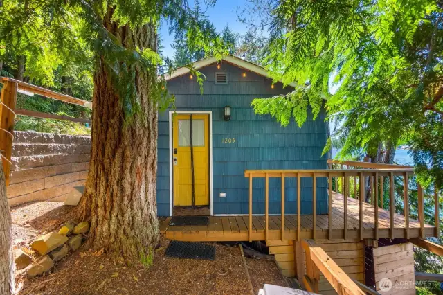 View of cabin front door entry, framed by mature evergreen trees.