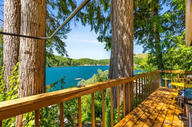 Lake view facing north through trees, from deck.