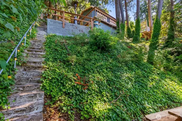 Stairs from lakefront to cabin with ivy-covered hillside leading to terraced yard and deck railing above.