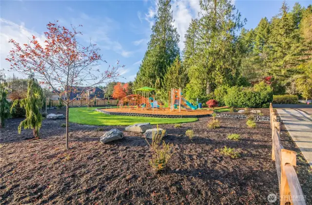 Neighborhood city park across the street.