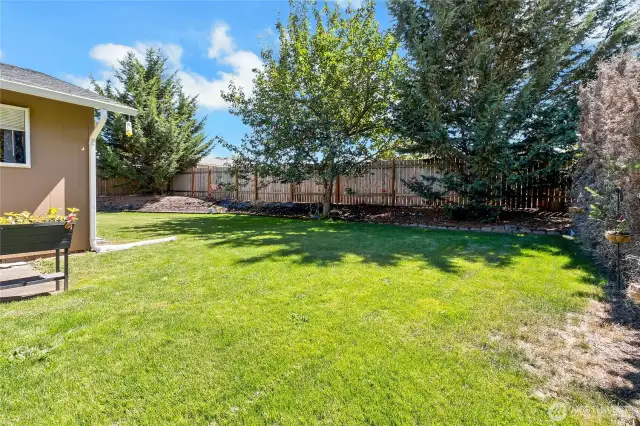Awesome backyard-sprinkler system & fully fenced.