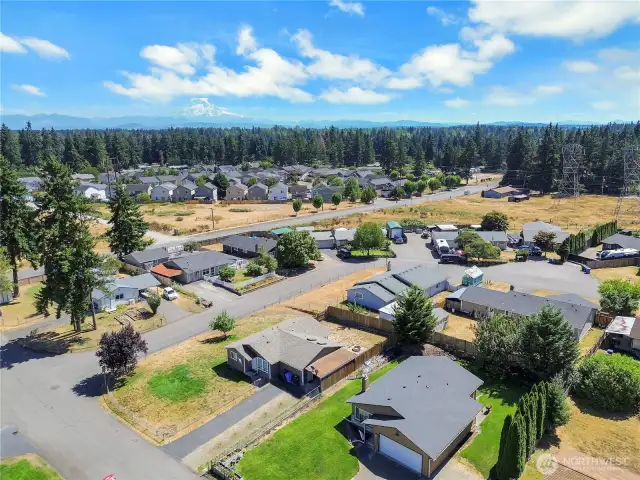 Neighborhood aerial view with Mt. Rainier in the background.