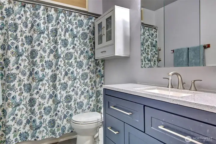 Main bath with updated vanity.