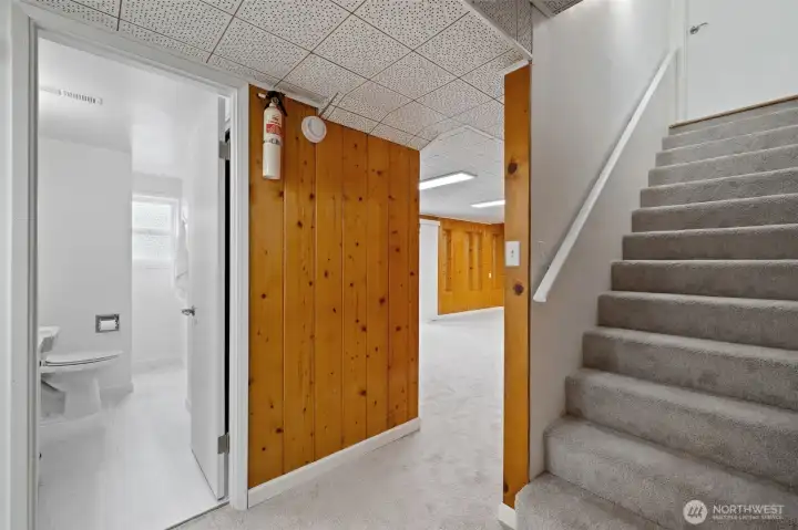 Bottom landing of the basement, new carpet on stairs and lower level. 3/4 bath to the left.