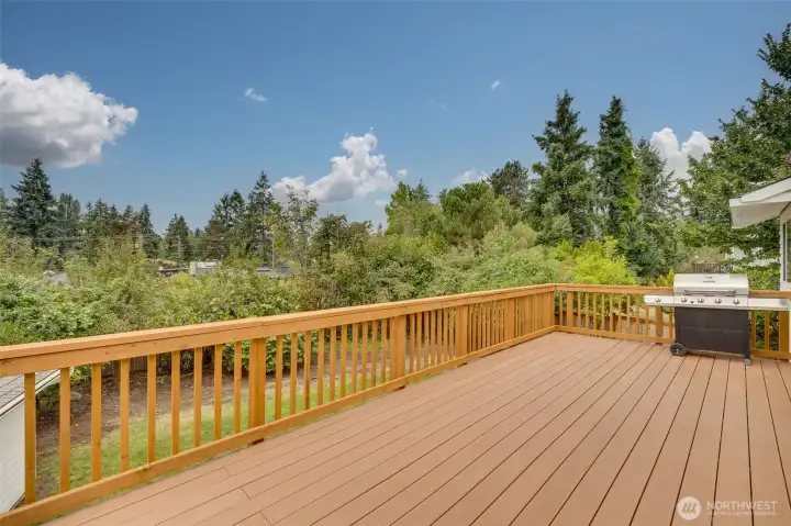 Massive brand new deck off the back of the home. Awaiting your summer BBQ's and large enough to entertain large groups. Great view of sunsets off the deck as well.