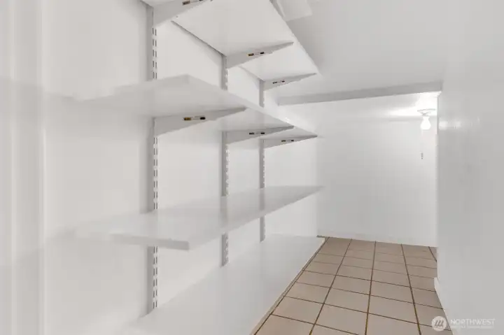 Huge pantry under stairs provides deep storage