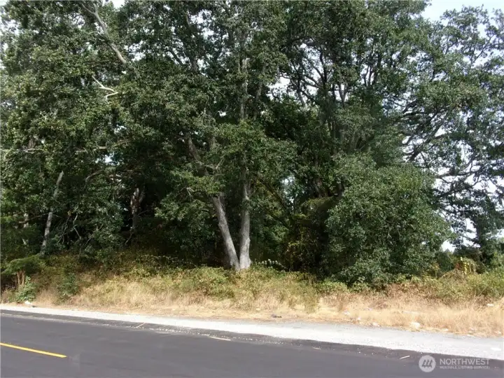 View from 146th Street SW