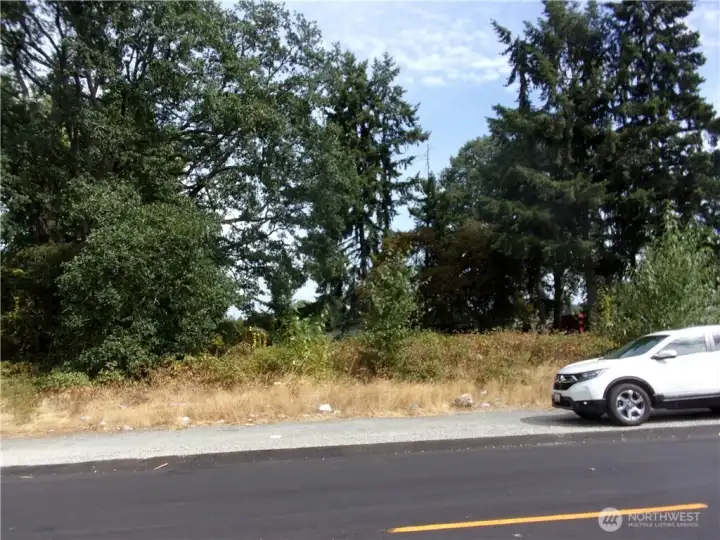 Looking north at the south edge of the property.