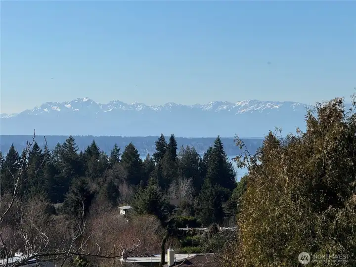 On a clear day, the mountain views are spectacular. (Photo provided by seller).