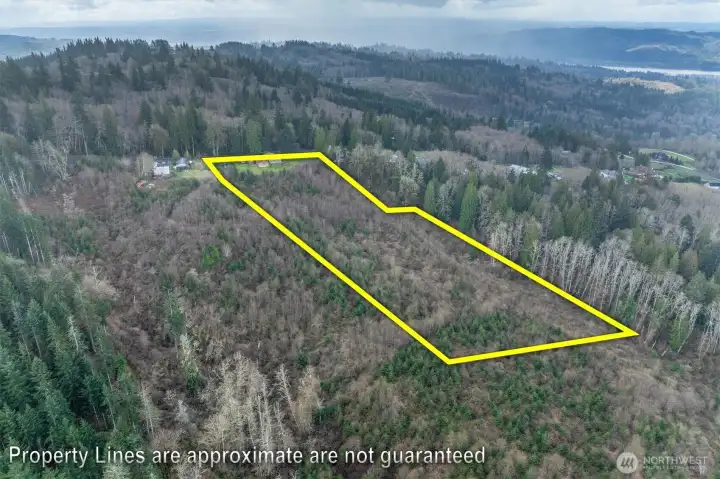 APPROXIMATE Lot View