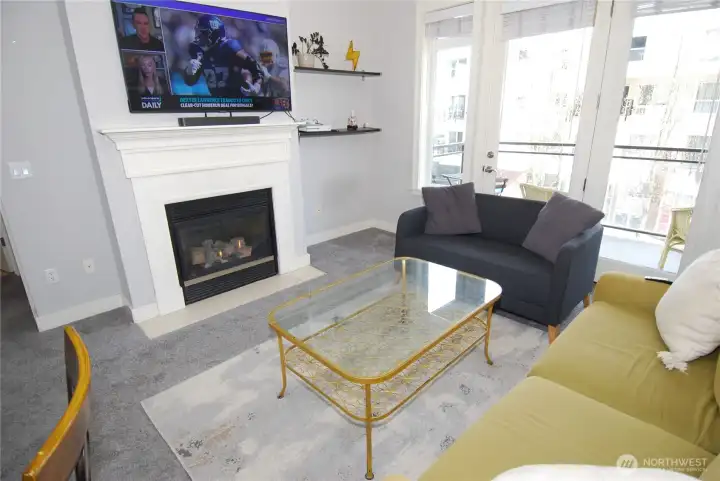 Gas fireplace with TV mount and components
