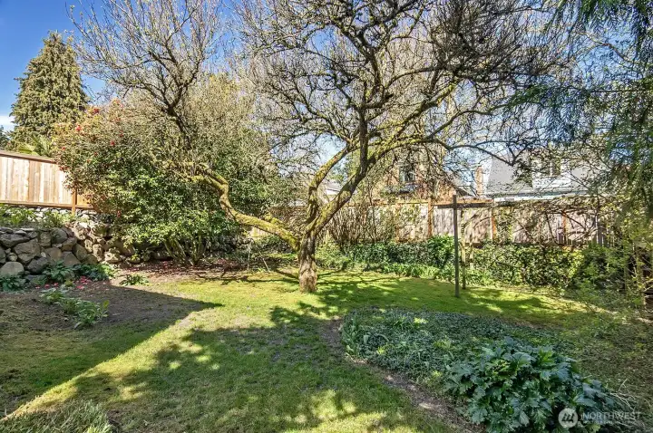 Huge 6100 sq ft lot with plenty of space for recreation and possible DADU expansion.