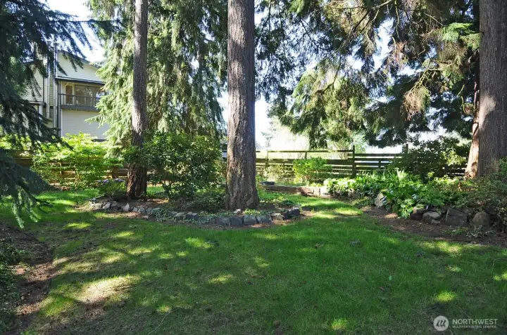 2017 Image 2017 Image