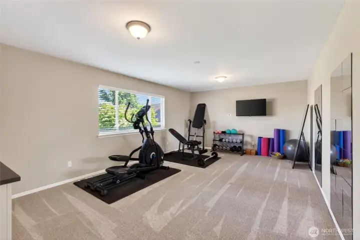 Bonus/bedroom
