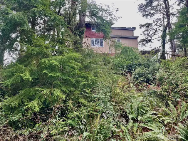 Home sits elevated on property.