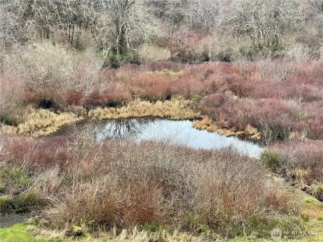 Conners Creek