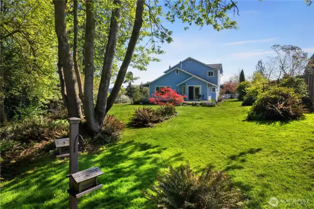 Mature landscaping.