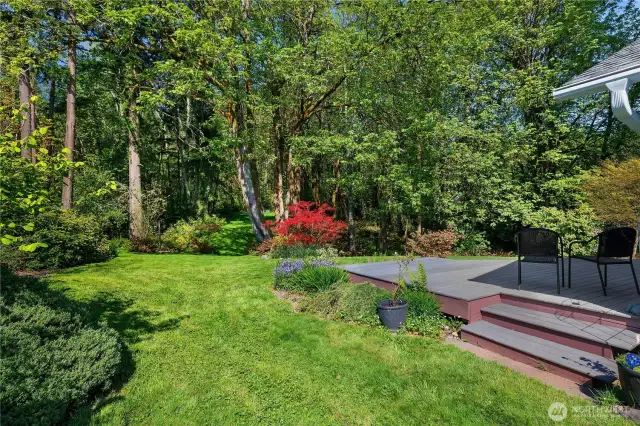 Deck leads to backyard.