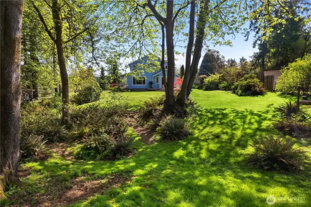 Park-like backyard.