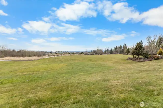 One of the many neighborhood open spaces