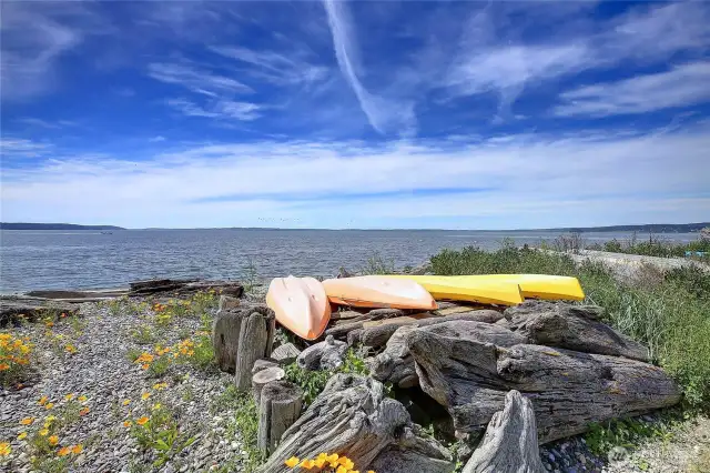 West Facing, Paddles-Ready~