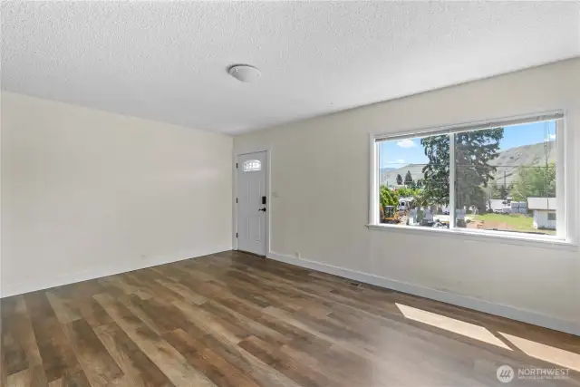 Large Picture Windows, Natural Light