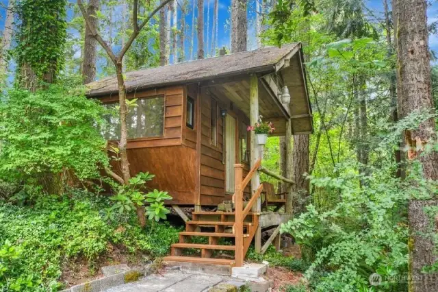 Fun cabin for guest or for entertainment.