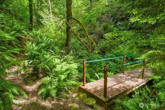 Wooden bridge above the seasonal stream with walking trails.