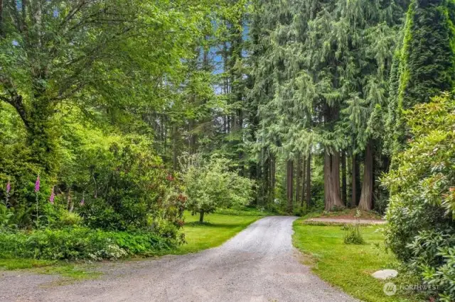 Scenic driveway.