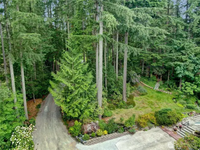 Enter the property through a winding entrance.
