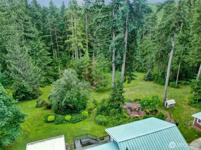 Above picture of part of the lot.