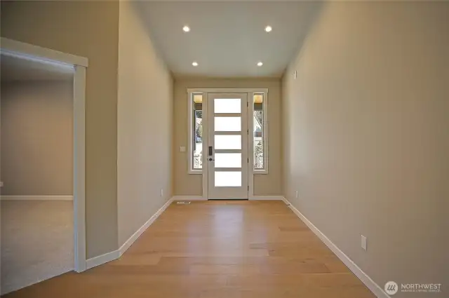 Modern door lights up the interior entry.