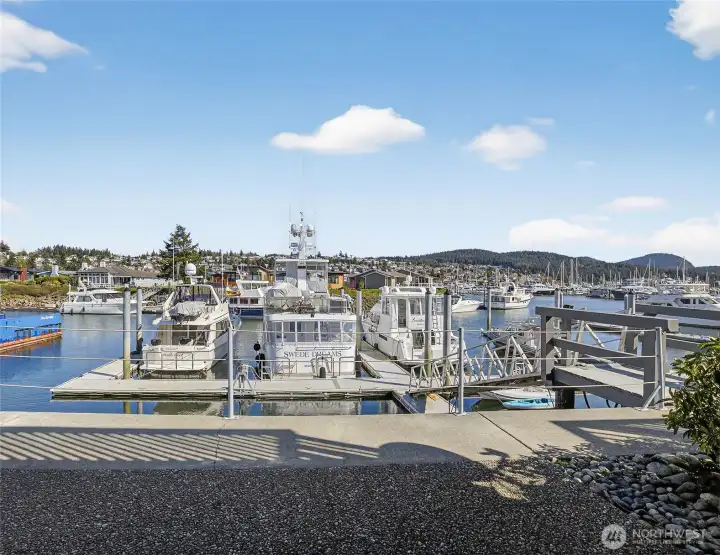 Another View from the Patio