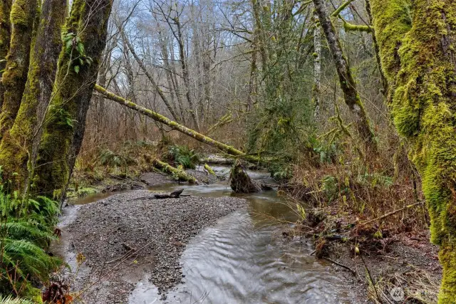 Easy creek access