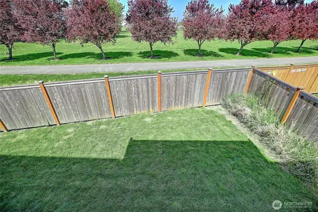 Peaceful setting with one of the biggest yards in neighborhood!